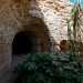Un altro ingresso parzialmente coperto dalledera ci d accesso a una seconda zona della grotta, ancora pi spettacolare della prima